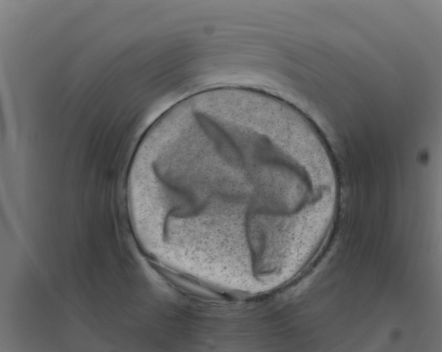 X0000094181521200711241541