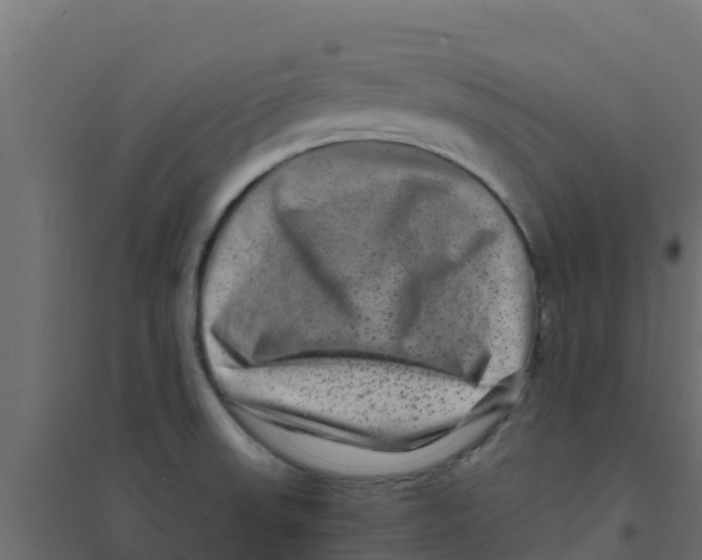 X0000094181523200711241541