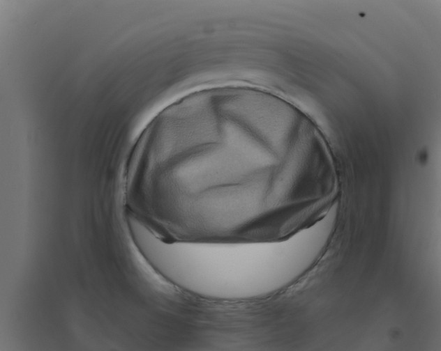 X0000094181524200711241541