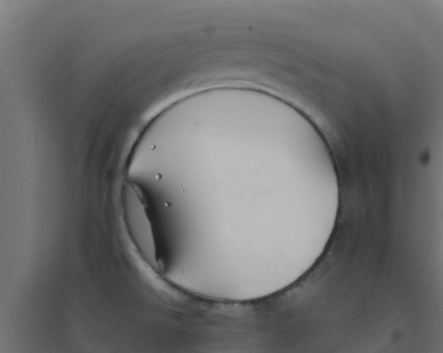X0000094181526200711241541