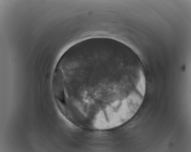 X0000094181527200711241541