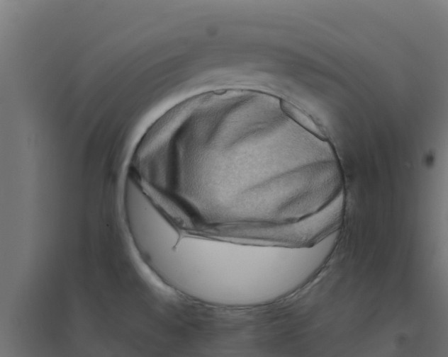 X0000094181528200711241541