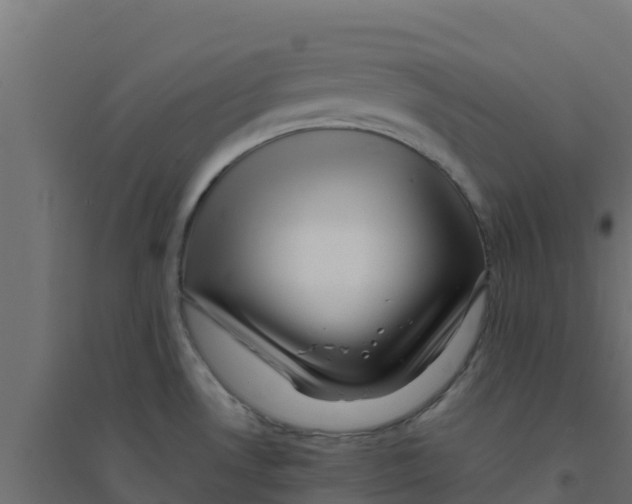 X0000094181530200711241541
