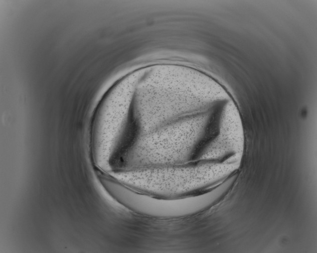 X0000094181531200711241541