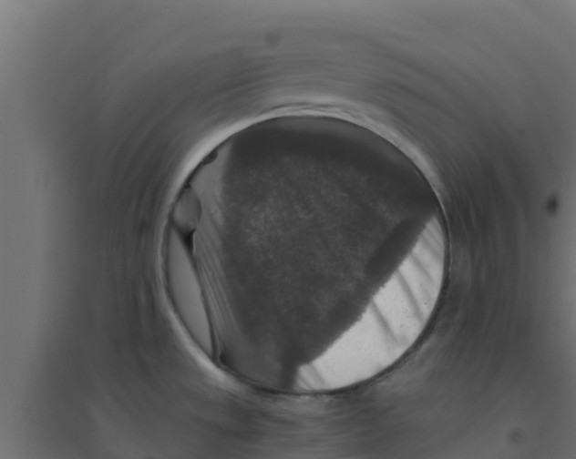 X0000094181533200711241541