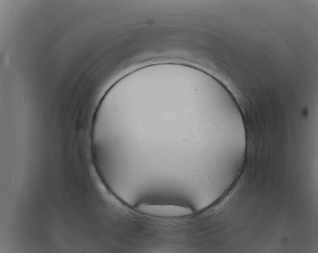 X0000094181534200711241541