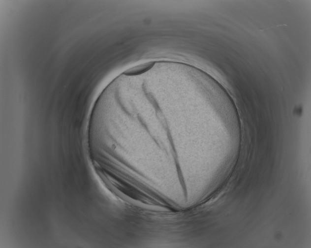 X0000094181536200711241541