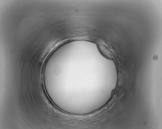 X0000094190002200710261005