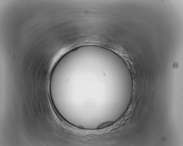 X0000094190003200710261005