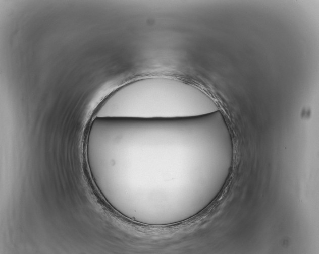X0000094190006200710261005