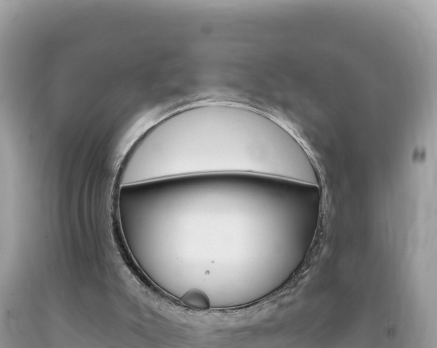 X0000094190007200710261005
