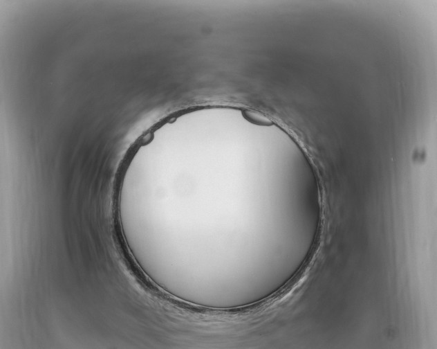 X0000094190008200710261005