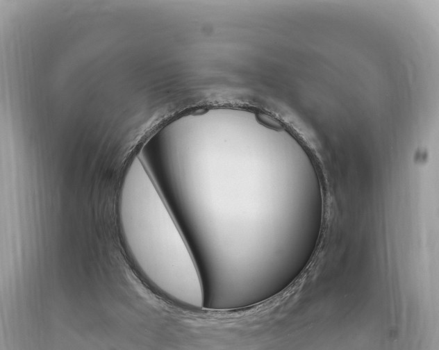 X0000094190009200710261005