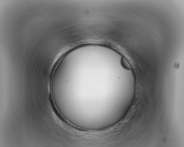 X0000094190011200710261005