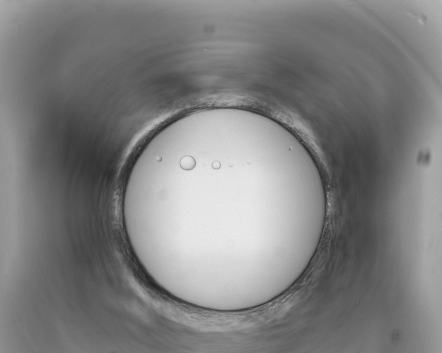 X0000094190012200710261005