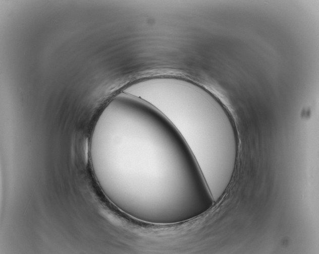 X0000094190013200710261005