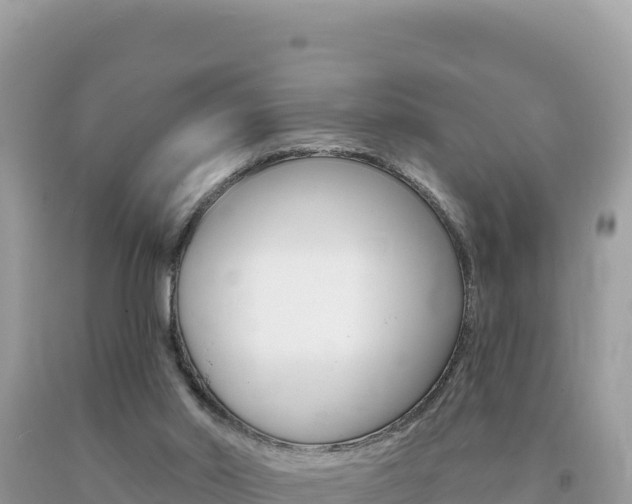 X0000094190014200710261005