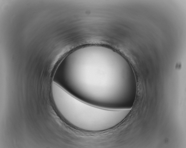 X0000094190015200710261005