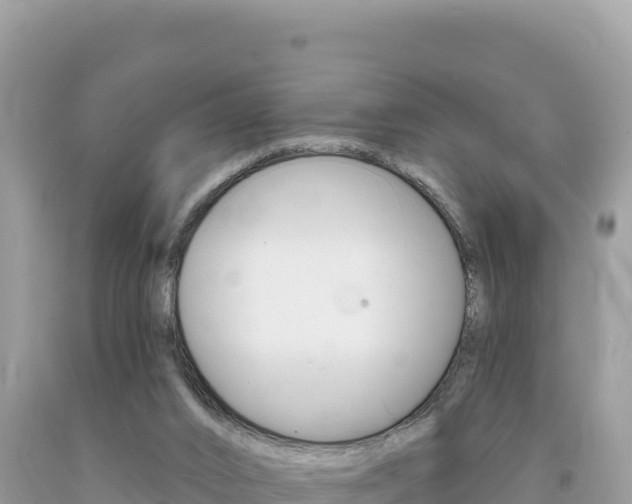 X0000094190016200710261005