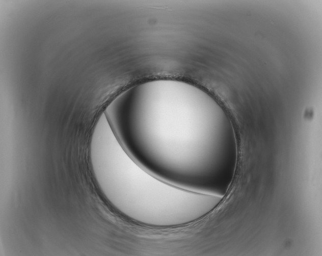 X0000094190017200710261005