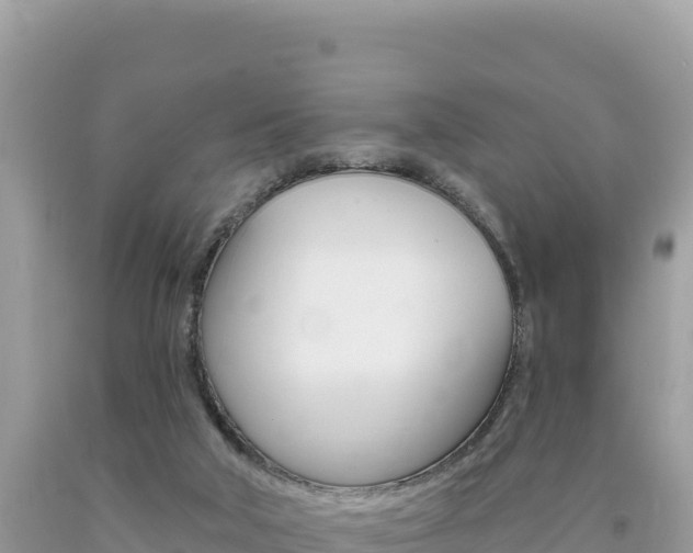 X0000094190018200710261005