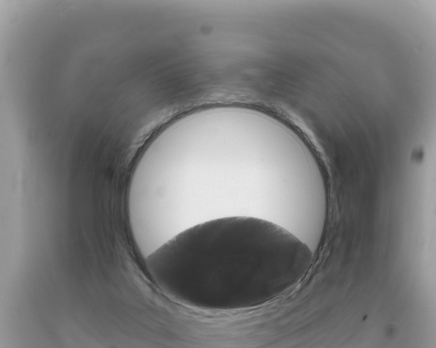 X0000094190019200710261005