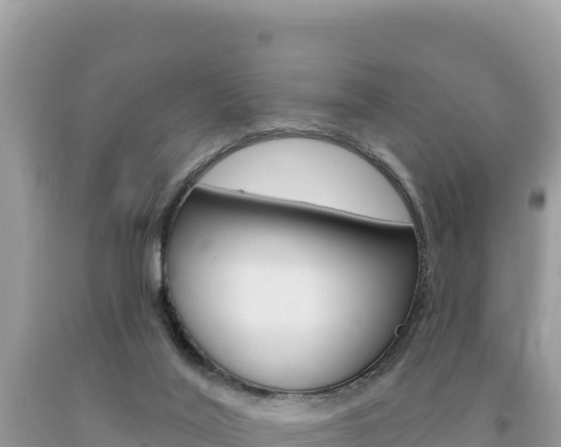 X0000094190020200710261005