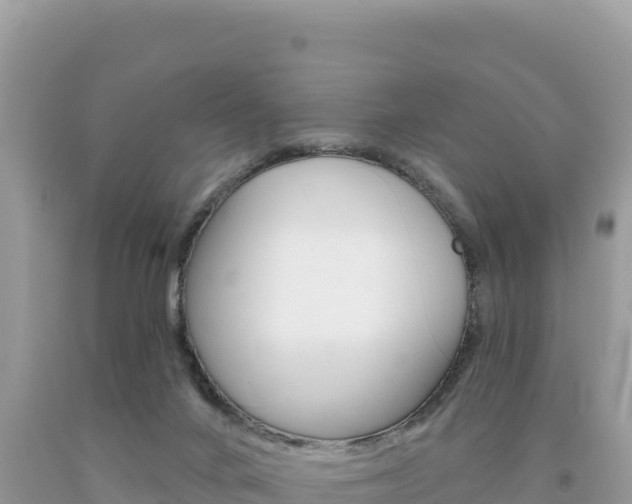 X0000094190024200710261005
