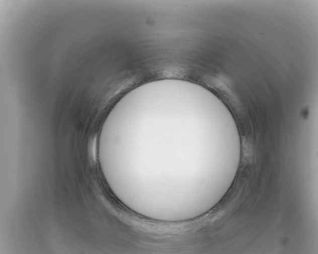 X0000094190028200710261005