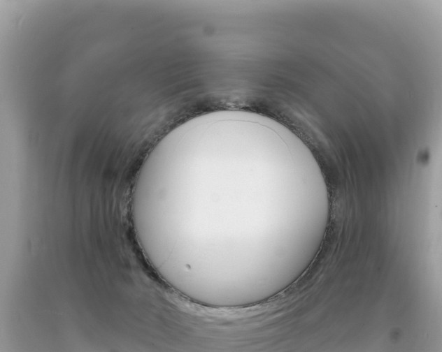 X0000094190030200710261005