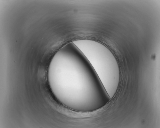 X0000094190031200710261005