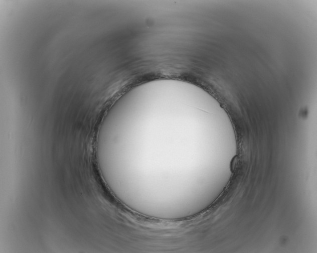 X0000094190032200710261005