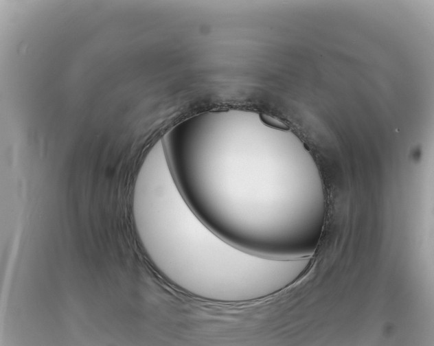 X0000094190033200710261005