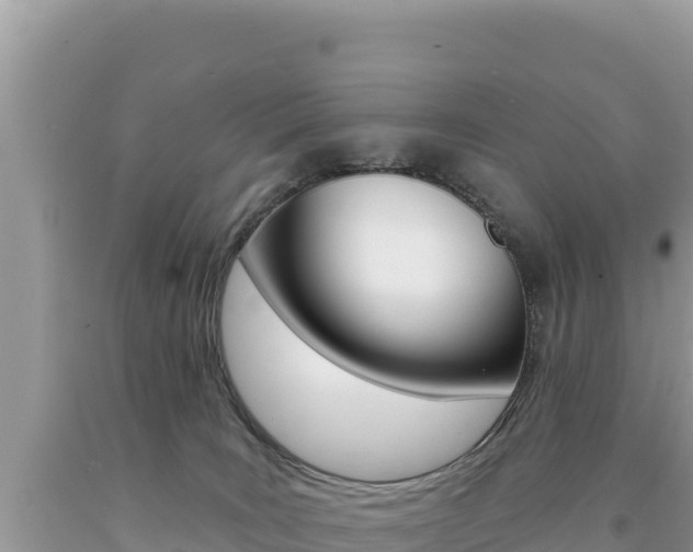 X0000094190035200710261005
