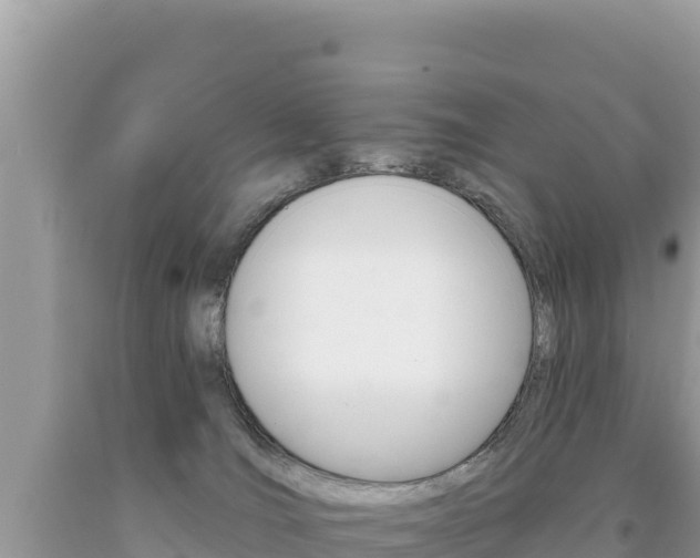 X0000094190036200710261005