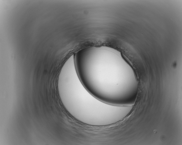 X0000094190037200710261005