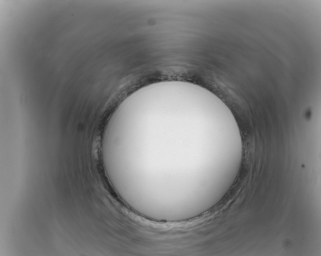 X0000094190038200710261005