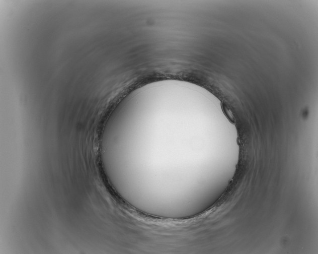 X0000094190040200710261005