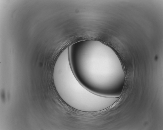 X0000094190045200710261004