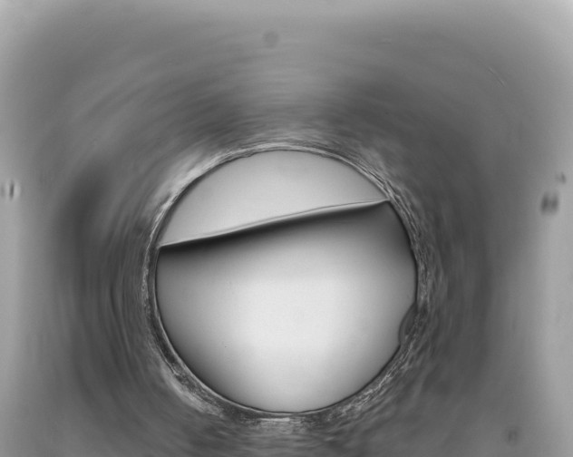 X0000094190050200710261004
