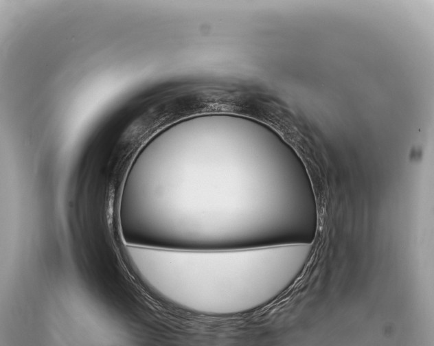 X0000094190052200710261004