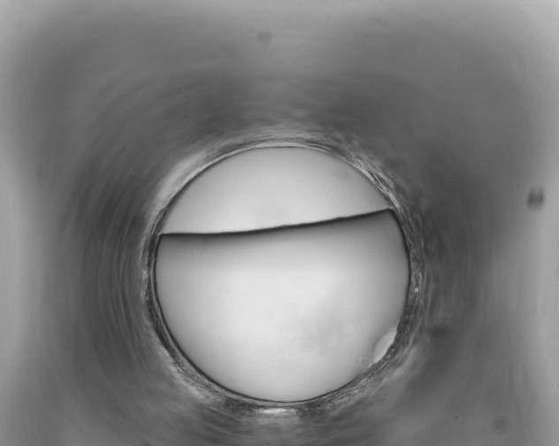 X0000094190053200710261004