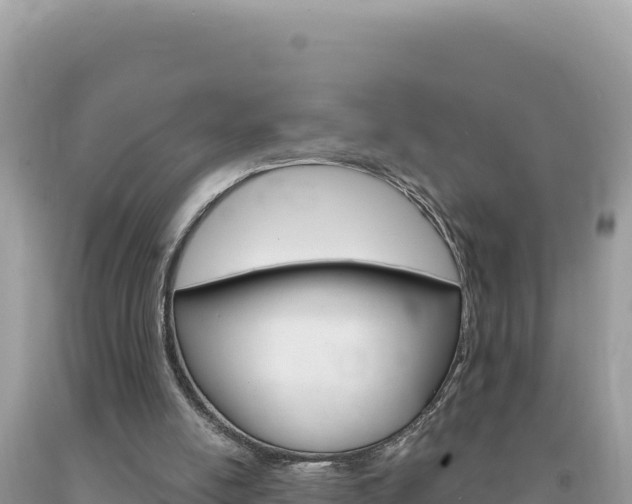 X0000094190054200710261004