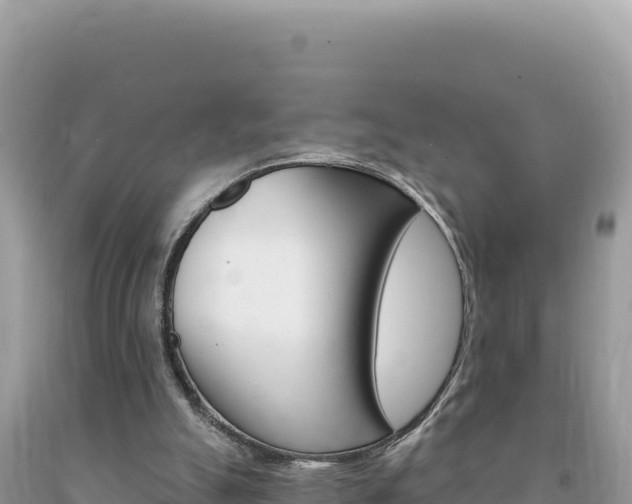 X0000094190055200710261004