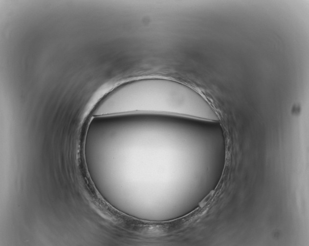 X0000094190056200710261004