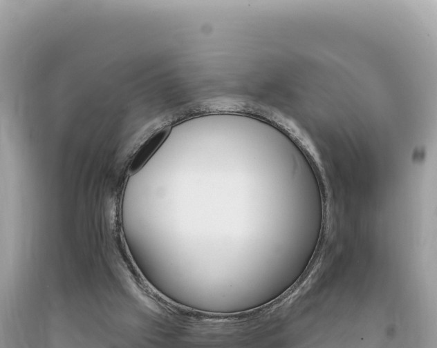 X0000094190057200710261004