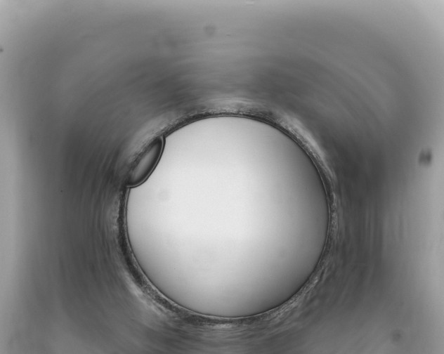 X0000094190058200710261004