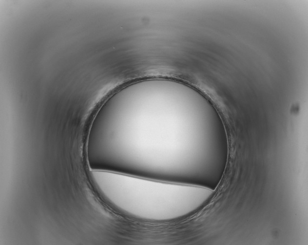 X0000094190060200710261004