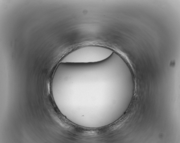 X0000094190061200710261004