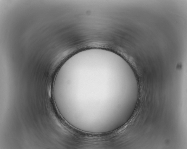 X0000094190062200710261004